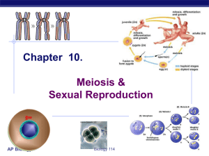 AP Biology Chapter 10. Meiosis & Sexual - Environmental