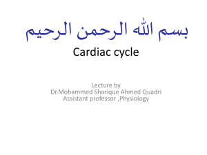 Events during cardiac cycle