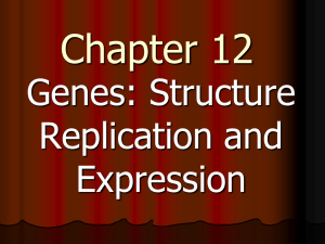 Chapter 12: Gene Structure, Replication and