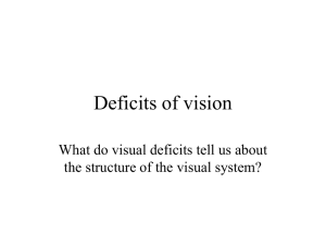 Deficits of visual processing