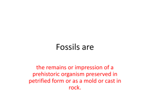 Fossils are - Pleasantville High School