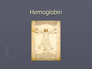 Hemoglobin - tayloekrhs