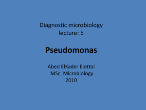 Diagnostic microbiology lecture: 5 Pseudomonas Abed ElKader