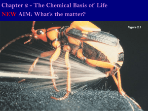 Chapter 2 - The Chemical Basis of Life