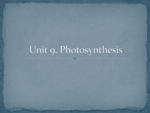 Slides on Photosynthesis