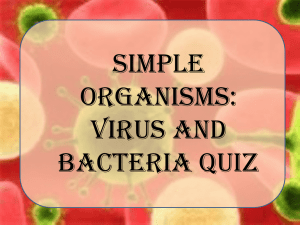 Virus and Bacteria Review ppt