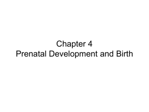 Chapter 4 - Prenatal Dev and Birth