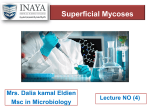 Superficial Mycoses - INAYA Medical College