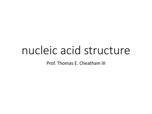 Talk_12_Nucleic_Acids