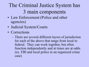The Criminal Justice System notes