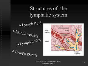 Lymphatic System structures, functions