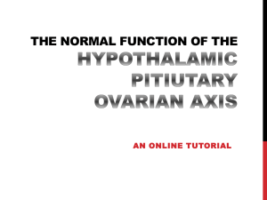 The NORMAL FUNCTION OF THE hypothalamic