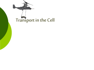 Transport in the Cell