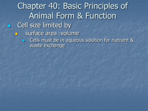 Chapter 40: Basic Principles of Animal Form & Function