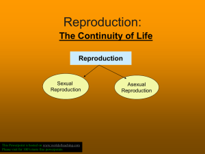 Sexual Reproduction continuity of life