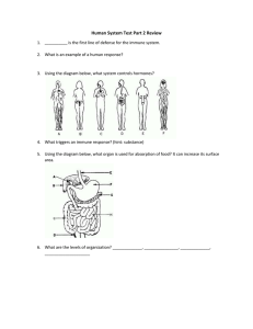 File human system test part 2 review