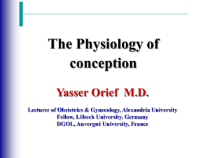 Physiology of conception