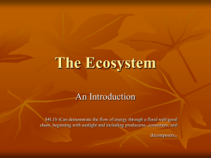 The Ecosystem