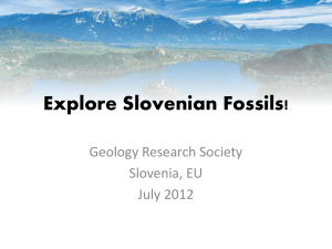 Explore Slovenian Fossils