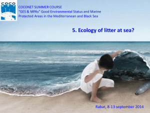 5. Ecology of litter at sea