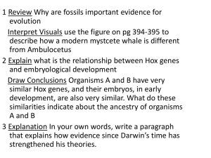 Ch 16 Darwin*s Theory of Evolution