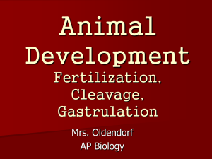 File - Ms. Oldendorf's AP Biology
