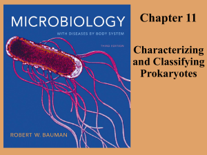 Chap 11 Prokaryotes - Abbreviated Fall 2012