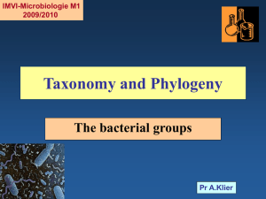 Taxonomy and Phylogeny