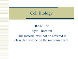 Cell Biology Review