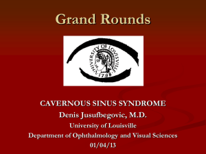 AAAAA2013-01-04-Cavernous-Sinus-Syndrome
