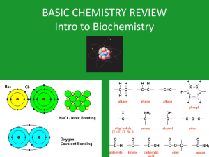 Biology 12 Biochemistry Review