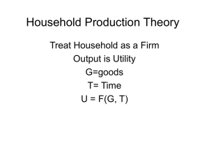 Household Production Theory
