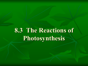 Notes on Photosynthesis