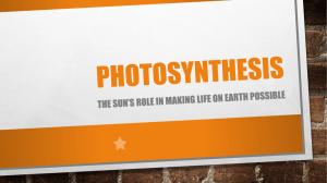 photosynthesis - Black Rock Solar