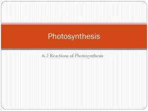 Photosynthesis - SunWestScience