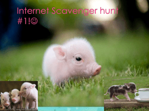 Internet Scavenger hunt #1!