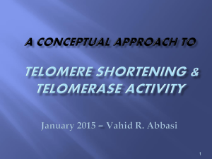 A Conceptual APPROACH to TeLomere Shortening & Telomerase