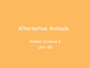 Alternative Animals