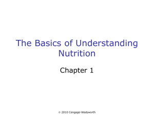 The Basics of Understanding Nutrition