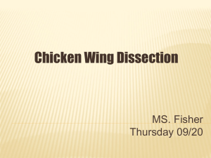 Chicken wing dissection ppt