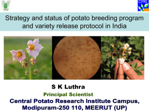 Strategy and status of potato breeding program and variety release