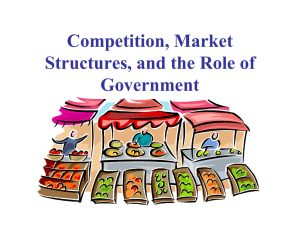 Competition, Market Structures, and the Role of Government