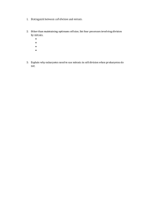 Mitosis questions