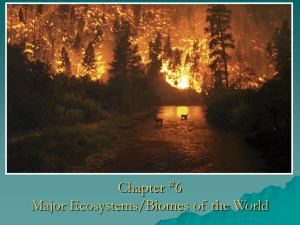 Lecture - Chapter 6