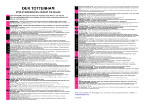 our tottenham sites of regeneration: conflict and change