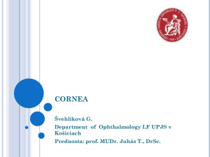 The cornea - TOP Recommended Websites