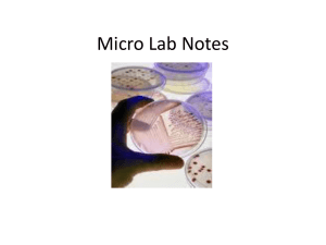 Micro Lab Notes - Faculty FrontDoor