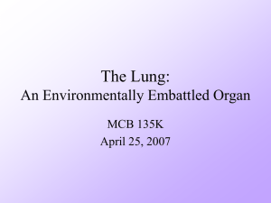 The Lung: An Environmentally Embattled Organ