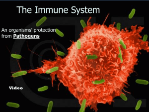 The Immune System Power Point Lecture Click Here