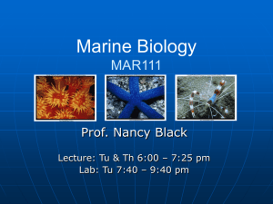 Marine Biology MB20